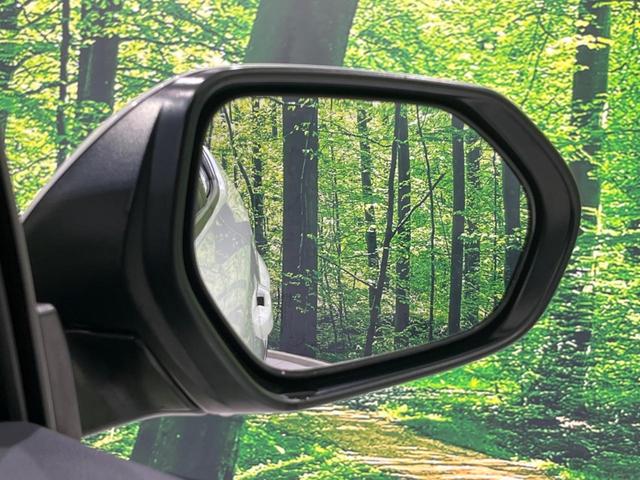 Ｃ－ＨＲ Ｓ　純正ナビ　バックカメラ　衝突軽減装置　レーダークルーズ　禁煙車　前後ドラレコ　スマートキー　ＥＴＣ　オートハイビーム　車線逸脱警報　デュアルオートエアコン　純正１７インチＡＷ　Ｂｌｕｅｔｏｏｔｈ再生（47枚目）