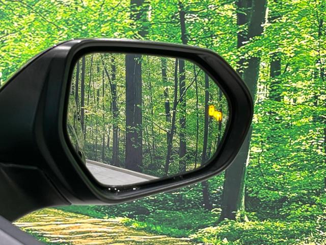 プリウス SセーフティプラスII 純正ナビ 全周囲カメラ 100V電源 衝突軽減装置 レーダークルーズ 禁煙車 ドラレコ コーナーセンサー レーンキープ スマートキー LEDヘッド ETC ブラインドスポットモニター 誤発進抑制機能(66枚目)