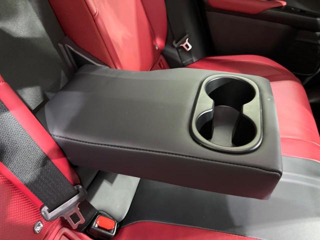 UX UX250h Fスポーツ 4WD TRDフルエアロ 純正10型ナビ 全周囲カメラ マークレビンソン 寒冷地仕様 衝突軽減装置 レーダークルーズ 禁煙車 電動リアゲート 革シート シートエアコン パワーシート ドラレコ ETC(66枚目)