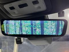 ڥǥ륤ʡߥ顼۸ʤ礭ʲʪƱԤǸǧŤ餤Ǥ¿餬Ƥξα롼ߥ顼ɽꥢʻ볦ǾγǧǽǤ 7