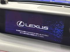 �ڣ�������������磻�ɥʥӡ۹�鴶�ȥ���ѥ��ȤΤ����緿�磻�ɥʥӤ��������Ƽ索���ǥ������Ϥ�����󡢲�Ĺ�磻�ɲ��̤ǤΥޥåף�ʬ��ɽ���ʤɡ���������⤤�ʥӤǤ��� 3