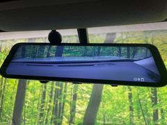 �ڥ���ƥꥸ����ȥ롼��ߥ顼�۸��ʤ��礭�ʲ�ʪ��Ʊ��ԤǸ�������ǧ���Ť餤���Ǥ�¿�������餬���Ƥ�����ξ�����α�����롼��ߥ顼���ɽ�������ꥢ�ʻ볦�Ǿ����γ�ǧ����ǽ�Ǥ��� 5