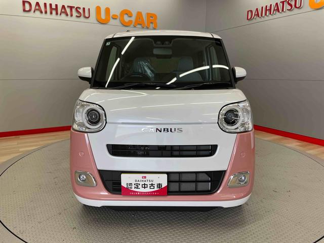 ムーヴキャンバス ストライプスＧ（2枚目）