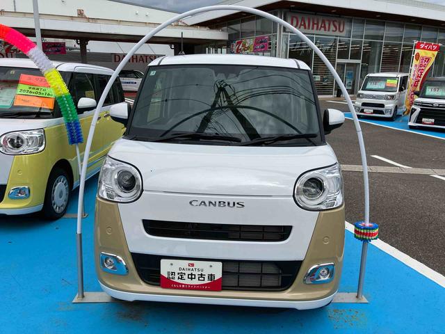 ムーヴキャンバス ストライプスＧ（2枚目）