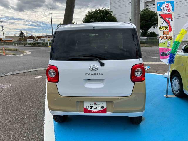 ムーヴキャンバス ストライプスＧ（3枚目）