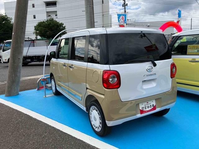 ムーヴキャンバス ストライプスＧ（4枚目）