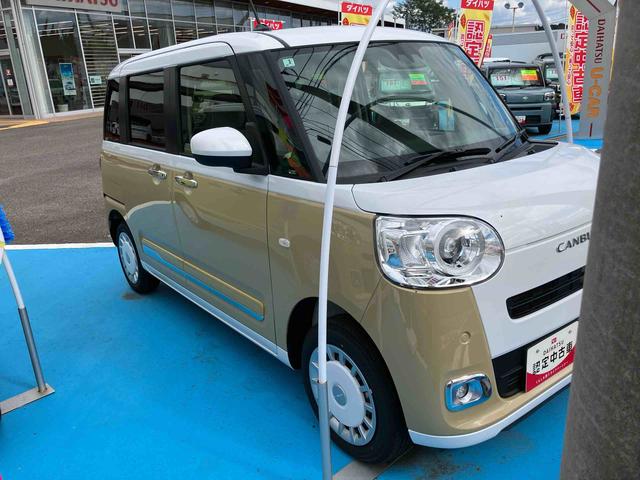 ムーヴキャンバス ストライプスＧ（7枚目）