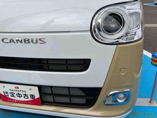 ムーヴキャンバス ストライプスＧ（38枚目）