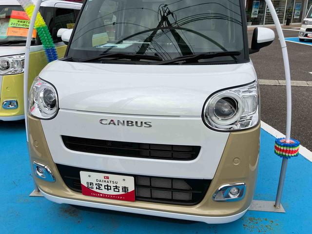 ムーヴキャンバス ストライプスＧ（39枚目）