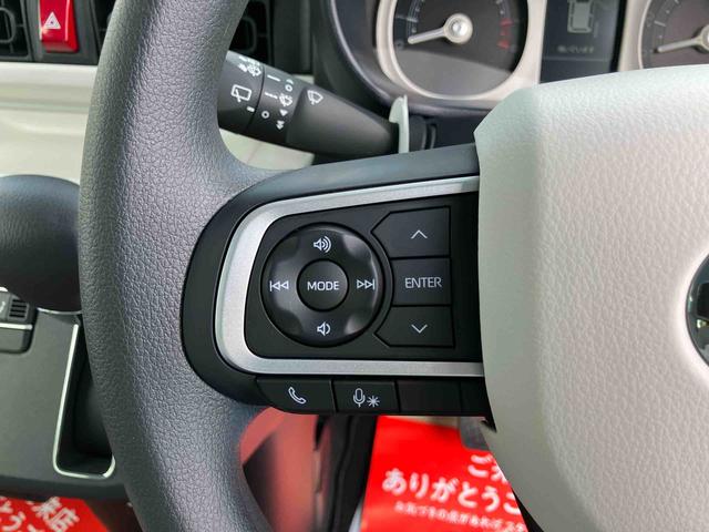 ムーヴキャンバス ストライプスＧ（30枚目）