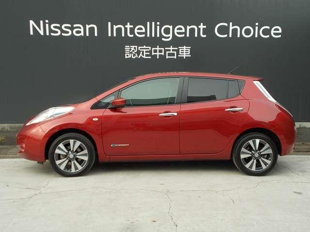 30kWh X 当社レンタカー/11セグメント(5枚目)