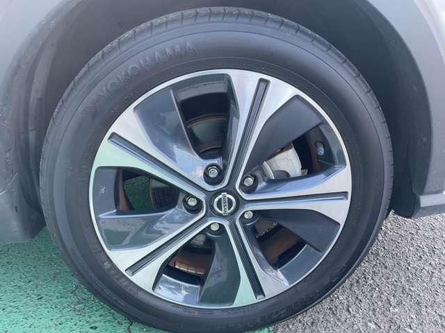 �����A���~�z�B�[���t���B�I�V�����͑�������I