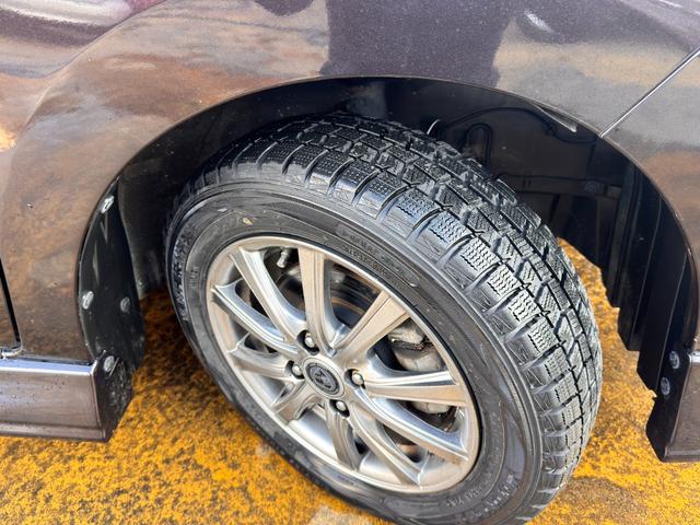 �ЊO�`�v���T�r�A�L�Y�������Y��ł���I�^�C���̍a���܂��܂����v�ł�