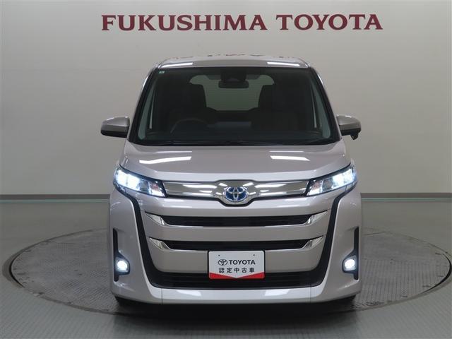 �t�����g�t�F�C�X�ɂ́A�{�f�B���F�ł���������ʏ����̃O������؂�̂��郉���v�O���t�B�b�N�I���X�����_���ȃX�^�C���ƂȂ��Ă��܂��I