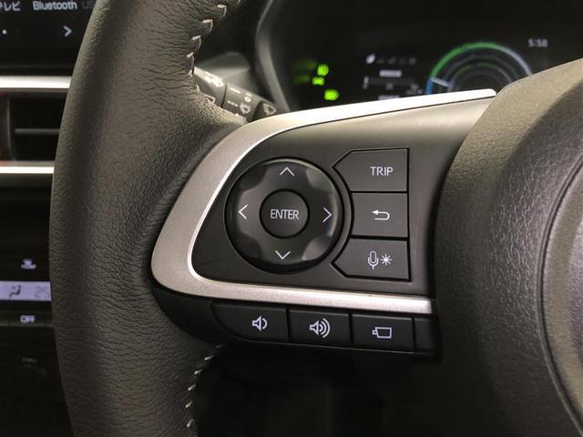 ライズ Ｚ　フルセグ　ミュージックプレイヤー接続可　バックカメラ　衝突被害軽減システム　ＥＴＣ　ドラレコ　ＬＥＤヘッドランプ　ワンオーナー　記録簿　アイドリングストップ（22枚目）