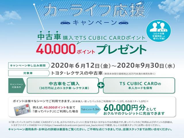 S メモリーナビ ワンセグ スマートキー ETC Bモニター(20枚目)