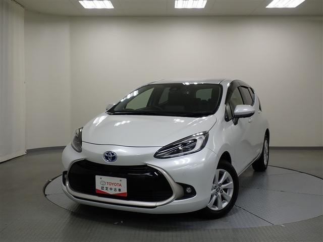 �{�f�B�F�̓v���`�i�z���C�g�p�[���}�C�J�ł��B