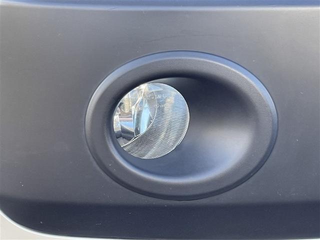 �t�����g�t�H�O�����v�@�����J�Ȃǈ��V�󎞂Ƀw�b�h�����v�̖������⏕���܂��I