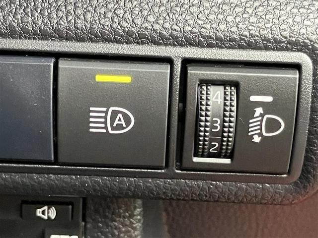 �I�[�g�}�`�b�N�n�C�r�[���X�C�b�`�A�蓮���������_�C�����B