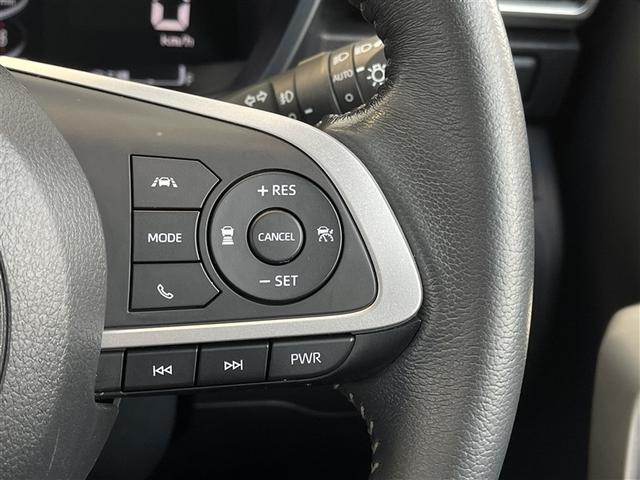 ライズ Ｚ　フルセグ　バックカメラ　衝突被害軽減システム　ＥＴＣ　ＬＥＤヘッドランプ　記録簿　アイドリングストップ（11枚目）