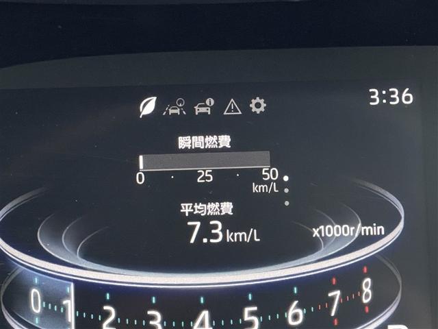 ライズ Ｚ　フルセグ　バックカメラ　衝突被害軽減システム　ＥＴＣ　ＬＥＤヘッドランプ　記録簿　アイドリングストップ（34枚目）