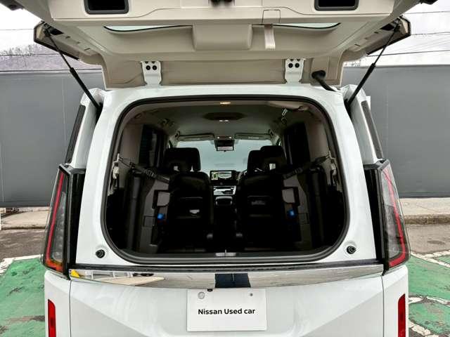 �f���A���o�b�N�h�A�ɂȂ�܂��B�㔼�������̊J���\�ł��B