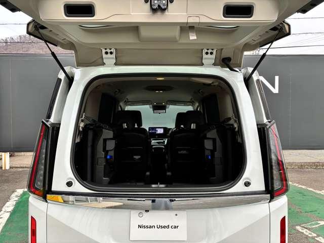 �f���A���o�b�N�h�A�ɂȂ�܂��B�㔼�������̊J���\�ł��B