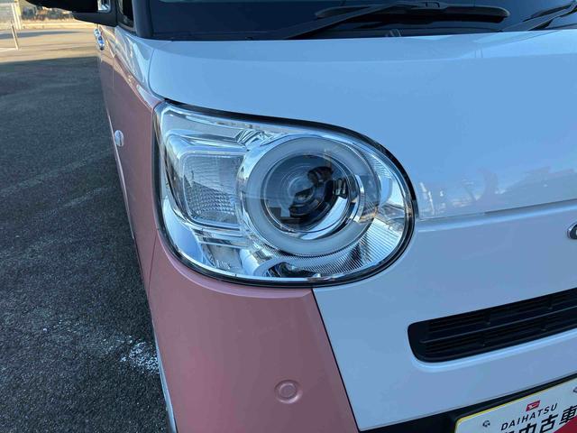 ムーヴキャンバス ストライプスG(15枚目)