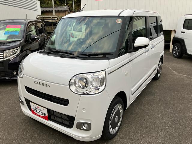 ムーヴキャンバス セオリーG(2枚目)