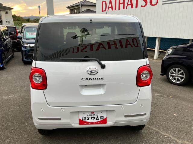 ムーヴキャンバス セオリーG(5枚目)