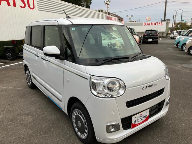 ムーヴキャンバス セオリーG(9枚目)