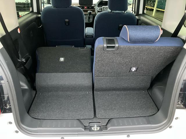 ムーヴキャンバス セオリーG(42枚目)