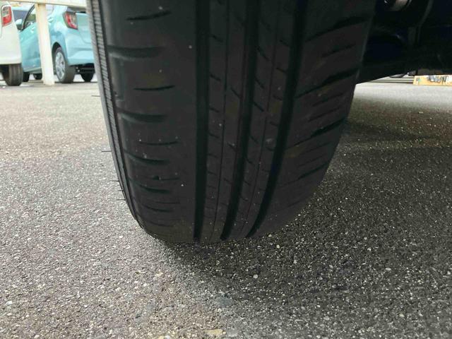 ムーヴキャンバス セオリーG(48枚目)