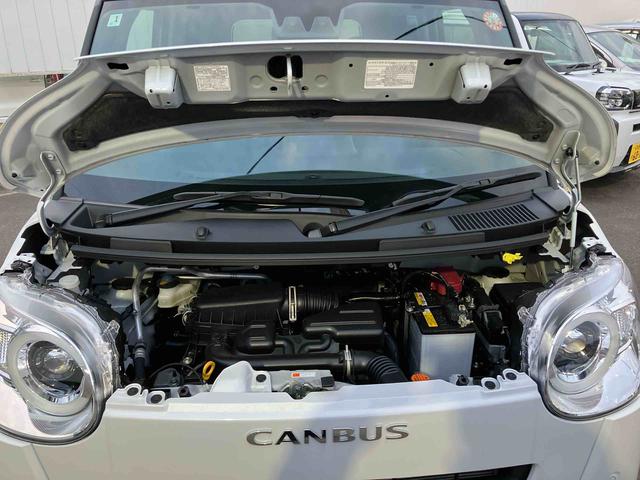 ムーヴキャンバス セオリーG(49枚目)