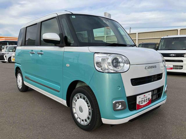 ムーヴキャンバス ストライプスG(4枚目)