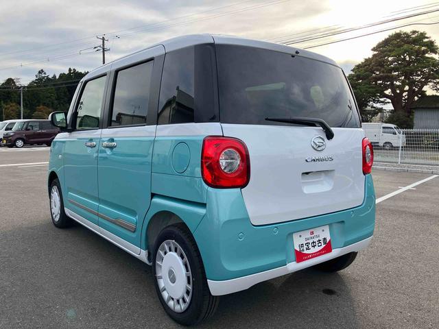 ムーヴキャンバス ストライプスG(8枚目)