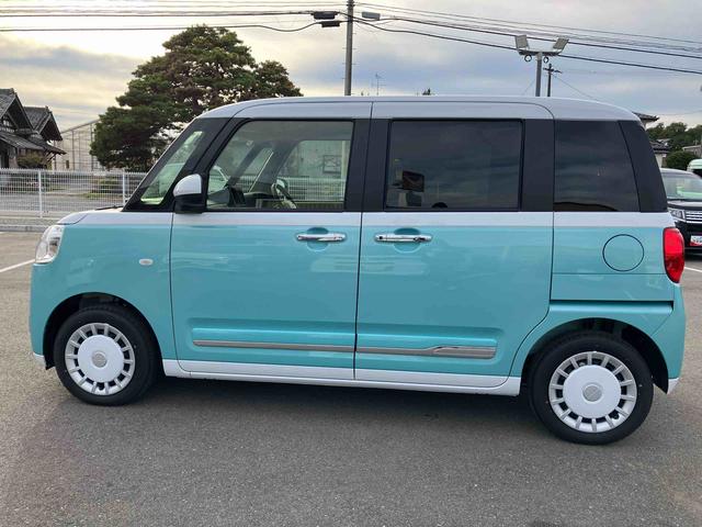 ムーヴキャンバス ストライプスG(9枚目)