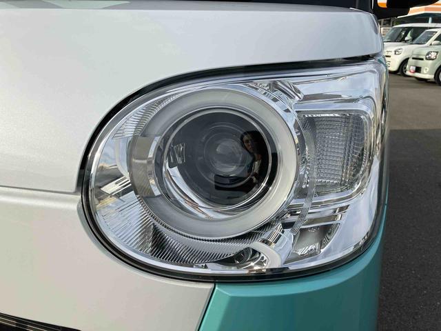 ムーヴキャンバス ストライプスG(37枚目)