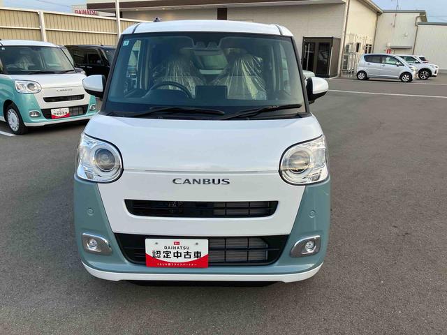 ムーヴキャンバス ストライプスG(2枚目)