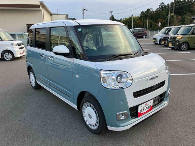 ムーヴキャンバス ストライプスG(3枚目)