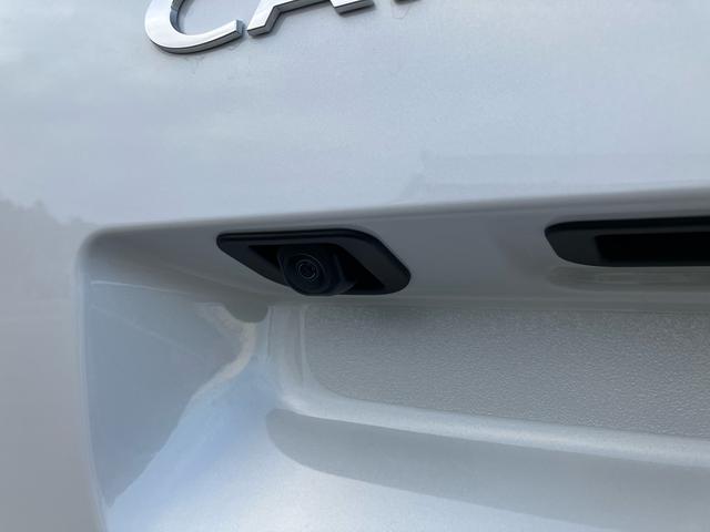 ムーヴキャンバス ストライプスG(24枚目)