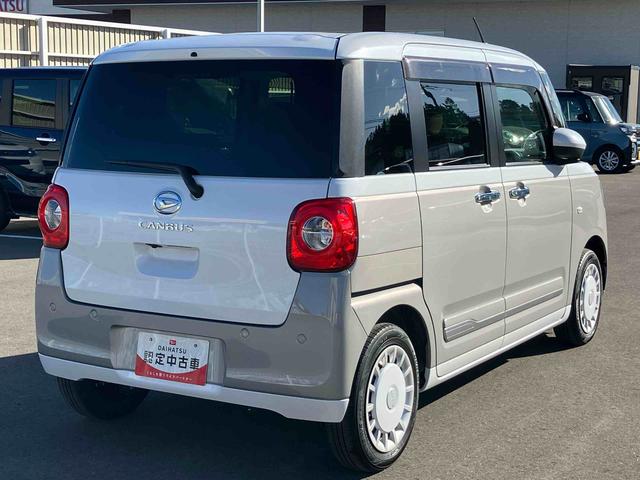 ムーヴキャンバス ストライプスG(8枚目)