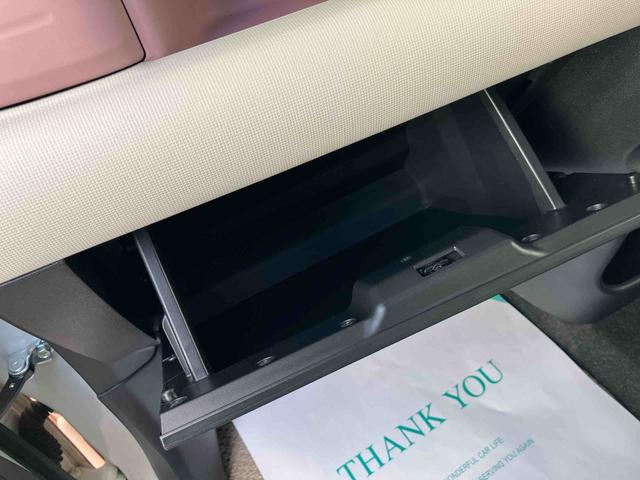 ムーヴキャンバス Ｇメイクアップ　ＳＡＩＩＩ（39枚目）