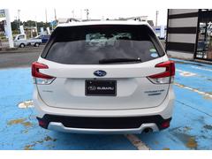 ե쥹 塡ţӣܼ֡ʥӡХå顡 0900551A20251010B003 5