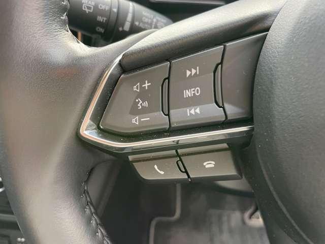ＣＸ－３ １５Ｓスーパーエッジー（10枚目）