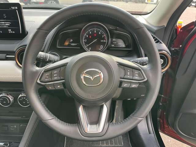 ＣＸ－３ １５Ｓスーパーエッジー（11枚目）