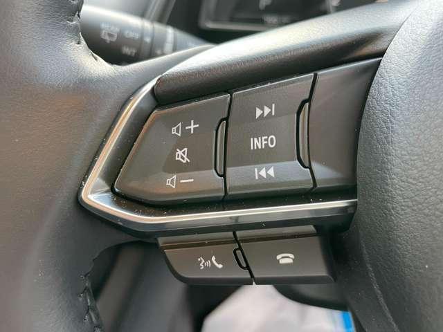 ＣＸ－３ １５Ｓ　ＶＩＶＩＤＭＯＮＯ（11枚目）