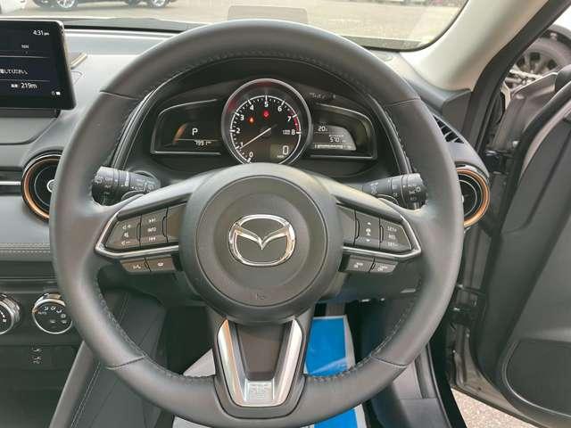 ＣＸ－３ １５Ｓ　ＶＩＶＩＤＭＯＮＯ（12枚目）