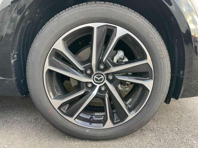 ＣＸ－３ １５Ｓ　ＶＩＶＩＤＭＯＮＯ（20枚目）
