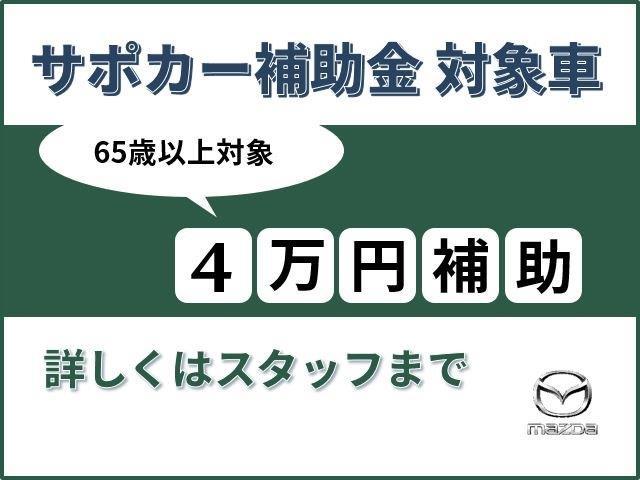 XD L PKG AWD (3枚目)